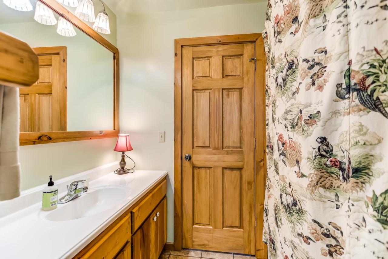 Picabo Villa Blue Ridge Ngoại thất bức ảnh